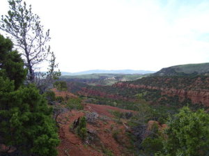 Red Canyon Ranch, Wyoming