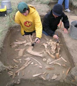 Fincastle-excavation