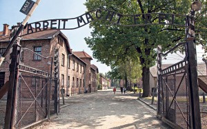 auschwitz2_3217888b