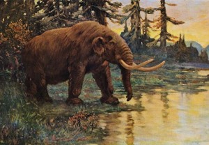 Mastodon