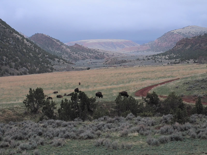 Red Canyon Ranch Storm
