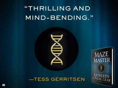 Maze Master Review Terry Gerritsen