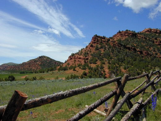 Buck Pole Fence