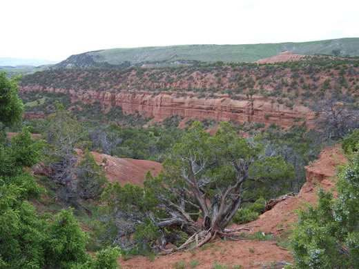 Petroglyph Cliff